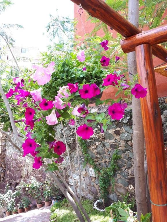 Casita Privada Del Chan Guanajuato Esterno foto