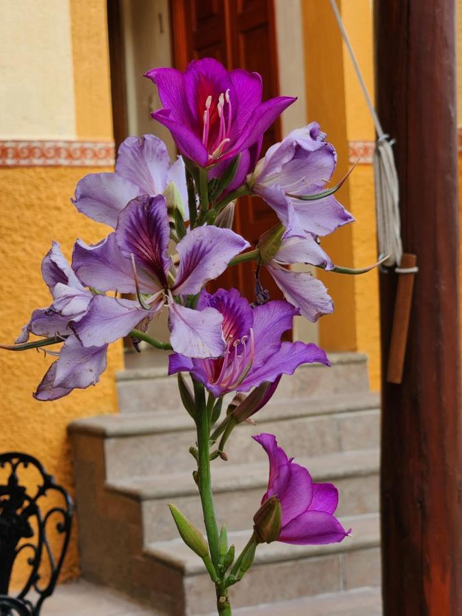 Casita Privada Del Chan Guanajuato Esterno foto